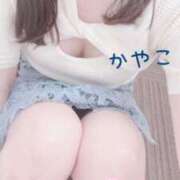 ヒメ日記 2025/08/05 12:31 投稿 かやこ 横浜人妻花壇本店