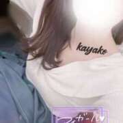 ヒメ日記 2025/08/09 10:35 投稿 かやこ 横浜人妻花壇本店