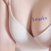 ヒメ日記 2025/08/10 14:05 投稿 かやこ 横浜人妻花壇本店