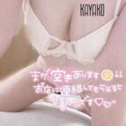 ヒメ日記 2025/08/12 12:07 投稿 かやこ 横浜人妻花壇本店