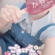 ヒメ日記 2025/08/16 10:30 投稿 かやこ 横浜人妻花壇本店