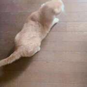 ヒメ日記 2025/08/18 10:51 投稿 かやこ 横浜人妻花壇本店