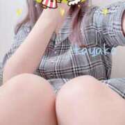 ヒメ日記 2025/09/12 11:33 投稿 かやこ 横浜人妻花壇本店