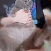 ヒメ日記 2025/09/15 10:28 投稿 かやこ 横浜人妻花壇本店