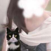 ヒメ日記 2025/09/15 14:01 投稿 かやこ 横浜人妻花壇本店