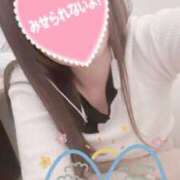 ヒメ日記 2025/09/24 09:06 投稿 かやこ 横浜人妻花壇本店