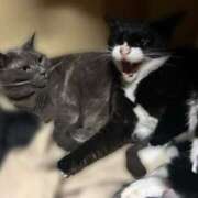 ヒメ日記 2025/10/06 17:21 投稿 かやこ 横浜人妻花壇本店