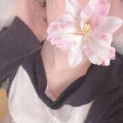 ヒメ日記 2025/10/27 11:25 投稿 かやこ 横浜人妻花壇本店