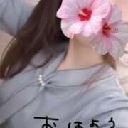 ヒメ日記 2025/11/03 12:55 投稿 かやこ 横浜人妻花壇本店