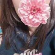 ヒメ日記 2025/11/11 20:36 投稿 かやこ 横浜人妻花壇本店