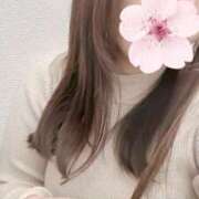 ヒメ日記 2025/11/23 11:26 投稿 かやこ 横浜人妻花壇本店