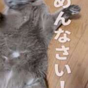 ヒメ日記 2025/12/14 10:05 投稿 かやこ 横浜人妻花壇本店