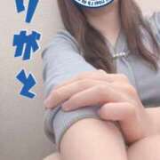 ヒメ日記 2026/04/07 13:12 投稿 かやこ 横浜人妻花壇本店