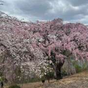 ヒメ日記 2025/03/31 14:08 投稿 千夏 セグレターリオ