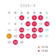 ヒメ日記 2025/08/31 02:57 投稿 千夏 セグレターリオ