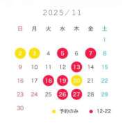 ヒメ日記 2025/11/01 16:23 投稿 千夏 セグレターリオ