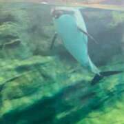 ヒメ日記 2025/07/25 12:47 投稿 相沢まのん 皇帝別館（こうていべっかん）