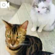 ヒメ日記 2025/07/27 10:07 投稿 相沢まのん 皇帝別館（こうていべっかん）