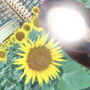 ヒメ日記 2025/08/02 10:26 投稿 相沢まのん 皇帝別館（こうていべっかん）