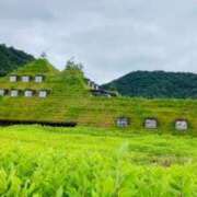 ヒメ日記 2025/10/11 17:36 投稿 相沢まのん 皇帝別館（こうていべっかん）