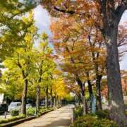 ヒメ日記 2025/11/19 13:46 投稿 相沢まのん 皇帝別館（こうていべっかん）