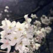 ヒメ日記 2026/03/30 22:26 投稿 相沢まのん 皇帝別館（こうていべっかん）