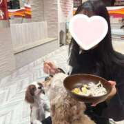 ヒメ日記 2024/12/26 22:17 投稿 はるの マリン池袋北口駅前店