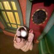 ヒメ日記 2025/03/04 15:17 投稿 はるの マリン池袋北口駅前店