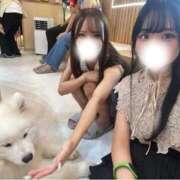 ヒメ日記 2025/09/01 15:18 投稿 はるの マリン池袋北口駅前店