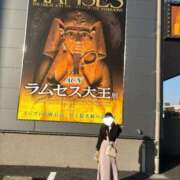 ヒメ日記 2025/11/14 18:57 投稿 はるの マリン池袋北口駅前店