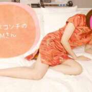 ヒメ日記 2025/05/01 07:33 投稿 ゆう ルーフ福井