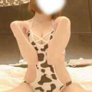 ヒメ日記 2025/10/10 09:00 投稿 ゆう ルーフ福井