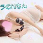 ヒメ日記 2026/02/09 02:18 投稿 ゆう ルーフ福井