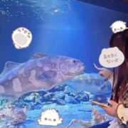 ヒメ日記 2024/12/16 20:21 投稿 (コスパ)星宮あいす 風俗イキタイいわき店