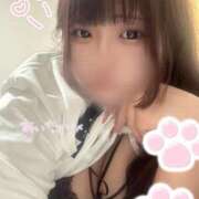 ヒメ日記 2024/12/23 20:36 投稿 (コスパ)星宮あいす 風俗イキタイいわき店