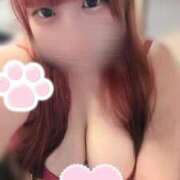 ヒメ日記 2025/09/19 22:52 投稿 (コスパ)星宮あいす 風俗イキタイいわき店