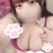 ヒメ日記 2025/10/12 07:11 投稿 (コスパ)星宮あいす 風俗イキタイいわき店