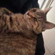 ヒメ日記 2024/12/29 15:14 投稿 仰天ソヨン 奴隷志願！変態調教飼育クラブ本店