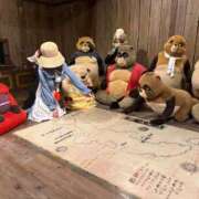 ヒメ日記 2025/11/16 17:27 投稿 仰天ソヨン 奴隷志願！変態調教飼育クラブ本店