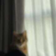 ヒメ日記 2025/12/20 20:38 投稿 仰天ソヨン 奴隷志願！変態調教飼育クラブ本店