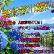 ヒメ日記 2026/06/17 17:49 投稿 仰天ソヨン 奴隷志願！変態調教飼育クラブ本店