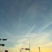 ヒメ日記 2025/05/03 07:46 投稿 すみれ イエスグループ熊本 TSUBAKI(ツバキ)