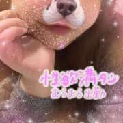 ヒメ日記 2025/01/20 17:27 投稿 ゆめな ふわふわコレクション