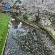 ヒメ日記 2026/04/07 06:24 投稿 涼子(りょうこ) エクレア上野御徒町　天然貴姉乳舐手淫店