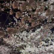 ヒメ日記 2025/04/08 22:41 投稿 むぎ まだ舐めたくて学園渋谷校〜舐めたくてグループ〜