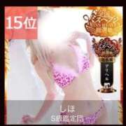 ヒメ日記 2025/12/03 18:20 投稿 しほ S級鑑定団