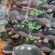 ヒメ日記 2025/09/12 19:30 投稿 神谷えま 大人のエッチなエステ