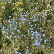 ヒメ日記 2025/09/29 16:15 投稿 神谷えま 大人のエッチなエステ