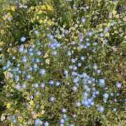 ヒメ日記 2026/02/05 21:53 投稿 神谷えま 大人のエッチなエステ