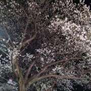 ヒメ日記 2026/03/04 05:57 投稿 神谷えま 大人のエッチなエステ